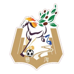 大理隊