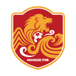 南平隊