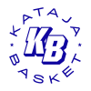 赫爾辛基海鷗