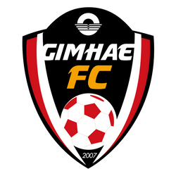 龍仁FC