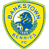 希爾斯聯(lián)FC