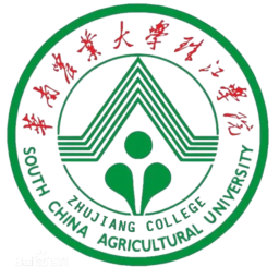 廣東外語外貿(mào)大學(xué)二隊
