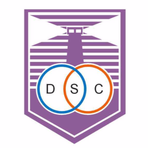 阿爾比恩后備隊